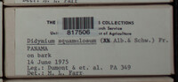 Image Associated With the Occurence